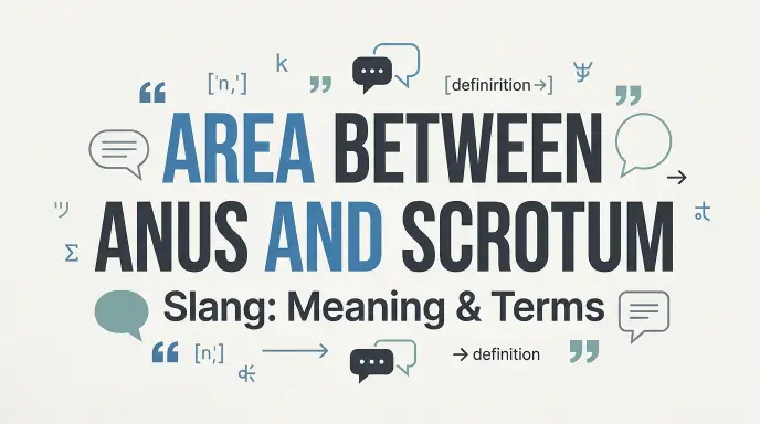 area between anus and scrotum slang