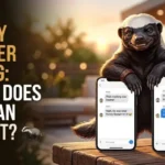 honey badger slang