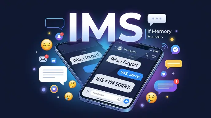 ims slang meaning