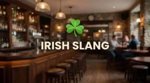 irish slang for drunk