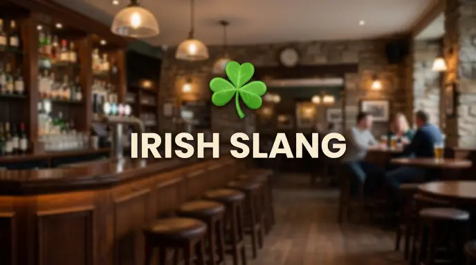 irish slang for drunk