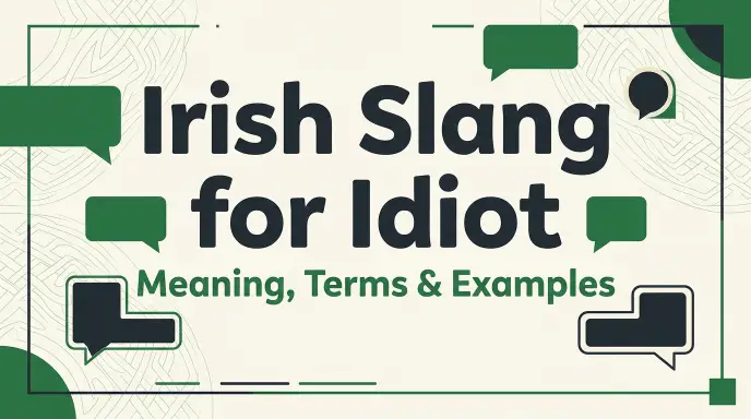 irish slang for idiot