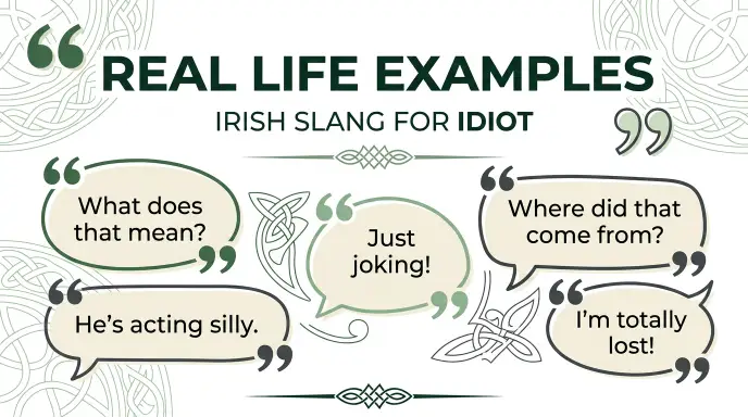 Real Life Examples of Irish Slang for Idiot