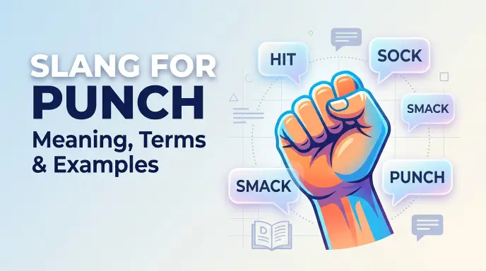 slang for punch