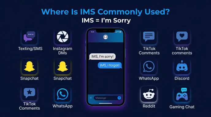 Where Is IMS Commonly Used?