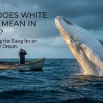 white whale meaning slang