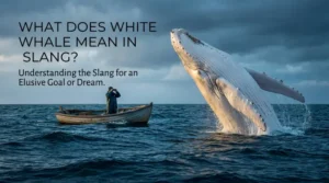 white whale meaning slang