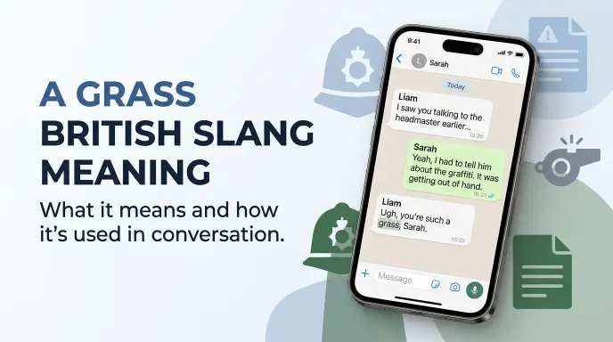 a grass british slang