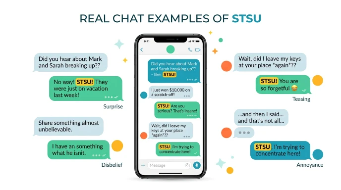 Real Chat Examples of STSU
